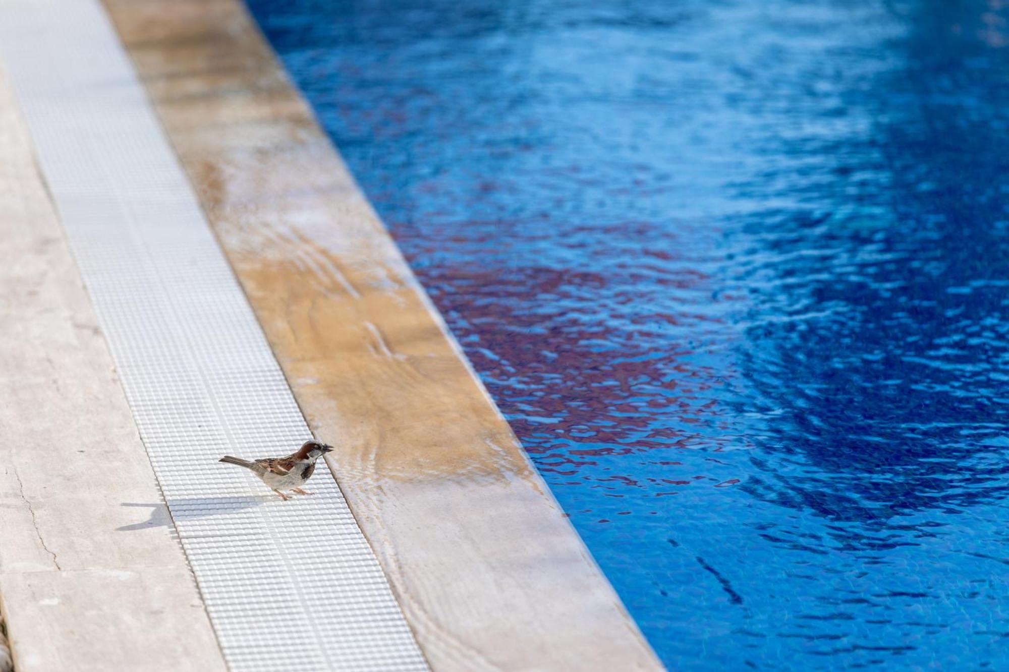 N Hotels Cesme Dalyankoy  Kültér fotó